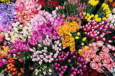 《PUBG: BLINDSPOT》登陆Steam PVP枪战