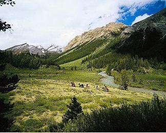 《DOTA2》现已支持Reflex ：系统延迟最多降低23%